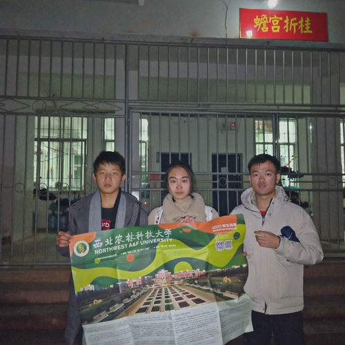 7887f3b4bfbc48b09d19006ec246c54e.jpeg