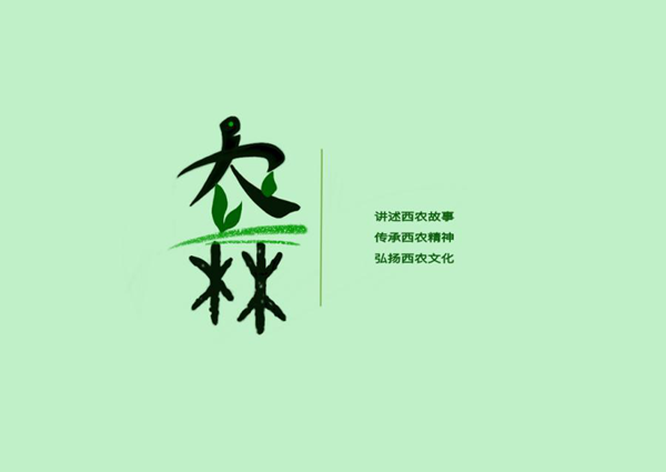 三等奖 MD队-《时和丰年》_副本.png