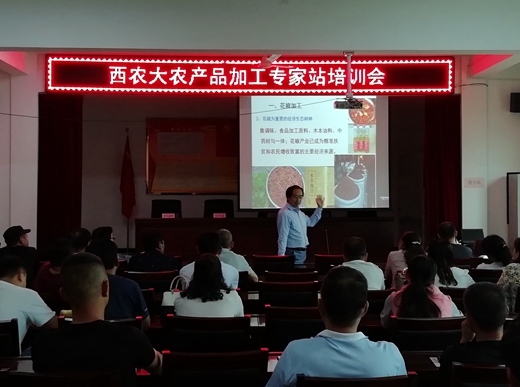 徐怀德教授培训会_副本.jpg