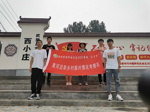 调查队到达村庄.jpg