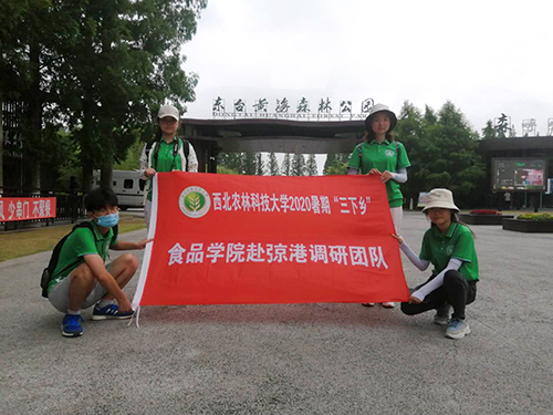 调研队员们赴东台黄海森林公园.jpg