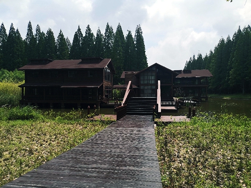 黄海森林公园部分景观2.jpg