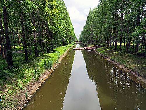 黄海森林公园部分景观3.jpg