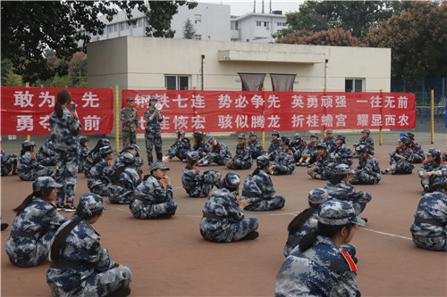 42cd3b70dc314d90a92b345605e4e7c8.jpg