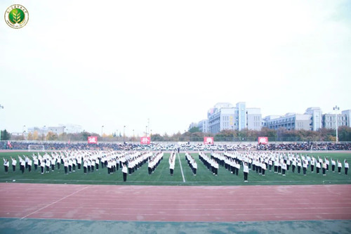 37fc93a001dc4900a8652d854f8794da.jpg 林院学子整齐划一500.jpg