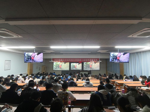 同学们观看视频.jpg